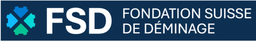 CyberPeace Institute logo