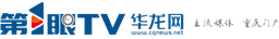 重庆华龙网集团股份有限公司 logo