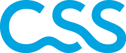 CSS logo