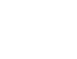 Daniel Šeiner logo