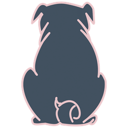 designstuuv.de favicon