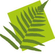 devisocom.com favicon