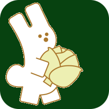 dimdini.lv favicon