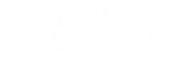 DIN - Digital Identity Nordics logo
