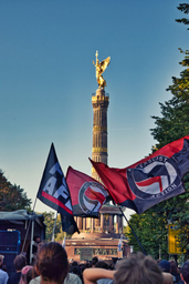 Pour la Solidarité logo