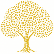 dnforum.com favicon