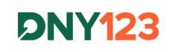dny123.com logo