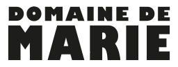 COMPAGNIE DE SERVICES logo
