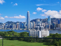北京豆网科技有限公司 logo