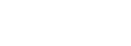 DUAL Group logo