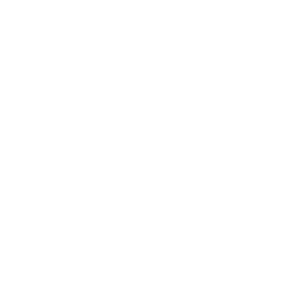 dusstreuhand.ch favicon