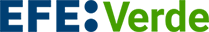 EFEVERDE logo