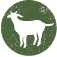 ekokoza.sk favicon