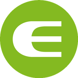 Elvi logo