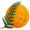 COGITERRA logo