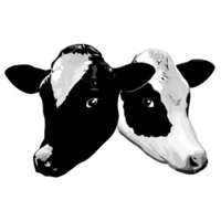enom.com logo