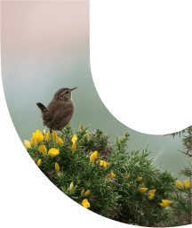 Environment Bank logo