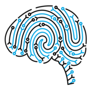 epilepsycourses.com favicon