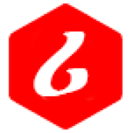 ethiopianreporter.com favicon