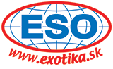 ESO travel logo