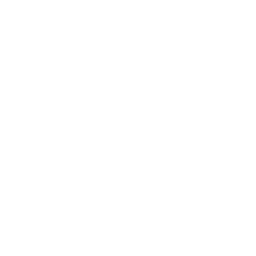Frankfurter Allgemeine Zeitung GmbH logo