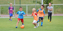 FC Slavia Hradec Králové logo