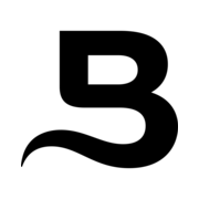 flyingbisons.com favicon