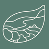 focali.se favicon
