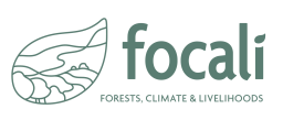 Focali logo