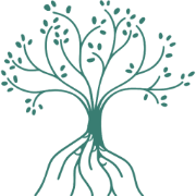fondationlemarchand.org favicon