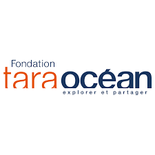 Fondation Tara Océan logo