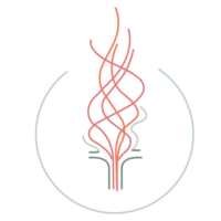 franziskanerinnen.org favicon