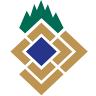 freudenstadt.de favicon