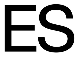 Alex Dujet Type System Corp logo