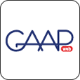 gaapweb.com favicon