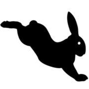giantrabbit.com favicon