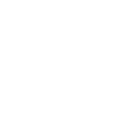 greatintersection.com favicon