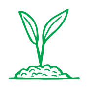 greenscreen.network favicon