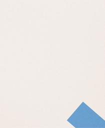 Domain Protection Services, Inc. logo