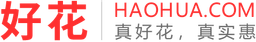 好花科技有限公司 logo
