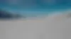 heidisevestre.com logo