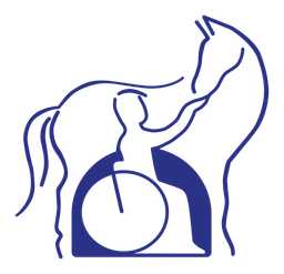 hiporehabilitace-cr.com favicon