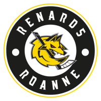 hockeyroanne.com favicon