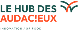 Le Hub des Audacieux logo
