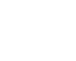 If International Foundation logo