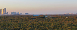 International Institute for Sustainable Development logo