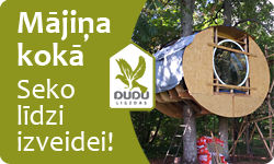 SIA DUDU ligzdas logo