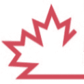 incamnetwork.ca favicon