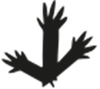 isti-mirant-stella.com favicon