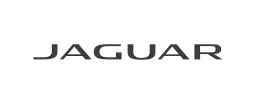 Jaguar Jordan logo